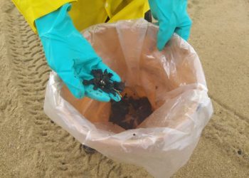 Fragmentos de óleo são encontrados na praia de Regência, em Linhares