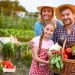 Secretaria da Educação abre Chamada Pública da Agricultura Familiar 2020