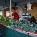 Agricultores buscam meios de comercializar seus produtos durante a pandemia de Covid-19