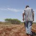 Governo confirma R$ 500 milhões para apoiar agricultura familiar na pandemia do coronavírus