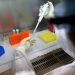 Governo adquire equipamentos que ajudarão testagens da Covid-19 em hospitais