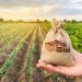 BALANÇO: Contratações do crédito rural da safra 2019/2020 fecharam em R$ 225 bilhões