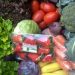 Entrega de cestas de produtos orgânicos e agroecológicos cresce 136% na pandemia