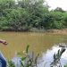 Agerh reforça monitoramento da água nos rios do Espírito Santo