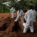 Brasil registra 482 mortes e mais 23 mil casos de covid-19