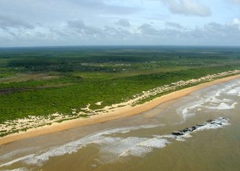Parque Estadual de Itaúnas comemora 30 anos com ações ambientais educativas