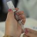 Gripe do vírus influenza avança no Brasil e já atinge dez Estados