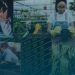 Espírito Santo registra melhor saldo de postos de trabalho dos últimos dez anos