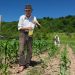 Projeto isenta trabalhador rural de multa para aderir ao Regime Geral de Previdência Social