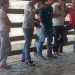Idaf participa de Dia Especial de Criação de Bezerras