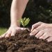 Bandes apresenta projetos de sustentabilidade ambiental