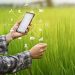 Seag, Idaf e Incaper participam do TecnoAgro em Linhares
