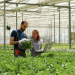 Negócios agroalimentares capixabas contam com apoio do Bandes