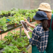Bandes participa de evento com agrotechs em Linhares nesta sexta-feira (10)