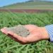 Brasil começa a normalizar a entrega de fertilizantes