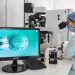 Conselho de Medicina divulga novas regras para fertilização assistida