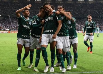 Palmeiras viraliza com segue o líder na web