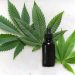 Medicamento de cannabis começa a ser vendido por delivery no Brasil