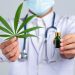 Mais de 60 milhões de brasileiros poderiam ser tratados com cannabis medicinal