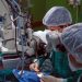 Transplante de fígado passa a integrar lista da ANS
