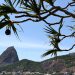 Bondinho Pão de Açúcar completa hoje 110 anos