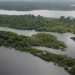Governo reativa fundo Amazônia e Alemanha repassa R$ 200 milhões