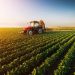 Produção agroindustrial cresce 3,4% em novembro, afirma FGV Agro