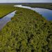Maior doadora do Fundo Amazônia, Noruega afirma que buscará mais recursos para o Brasil