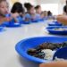 Mais de 2,7 mil escolas do ES recebem R$ 37,9 milhões para merenda