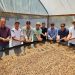 Incaper disponibiliza novas tecnologias para agricultores familiares produzirem cafés especiais e sustentáveis