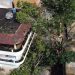 Temporal de 5 minutos provoca queda de árvores e energia em Alfredo Chaves