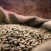 Café em alta! Saca do conilon teve aumento de 45% só em 2024