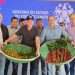 Evento marca início da colheita do café arábica no Espírito Santo