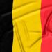 Chamada internacional para fomentar intercâmbio entre grupos de pesquisa do Brasil e da Bélgica é prorrogada