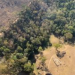 Incêndio no Parque Estadual Mata das Flores é controlado