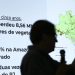 Brasil já perdeu 33% das áreas naturais de seu território