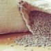 20% do café exportado pelo Brasil em agosto saiu do ES