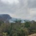 Fogo destrói 350 mil m² de Mata Atlântica em Conceição do Castelo
