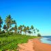 Praia de Aracruz é uma das únicas do ES livre de microplásticos