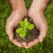 ES recebe missão europeia para fortalecer agronegócio verde