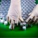 Butantan inicia produção da vacina contra a dengue