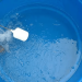 Cesan orienta a fazer limpeza de caixas d’agua para evitar contaminações e garantir água de qualidade no verão