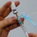 Brasil encerra janeiro com mais de 180 mil casos de dengue e 38 mortes