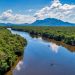 ES institui Política Estadual de Biodiversidade e lança novo programa de conservação ambiental