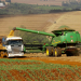 PIB do Brasil cresce 1,4% com impulso do agro no 1º trimestre de 2025