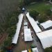 Feira de agronegócio em Pinheiros deve movimentar R$ 400 milhões em negócios em agosto