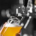 Espírito Santo tem crescimento de 10% no número de cervejarias, puxado por turismo e eventos