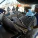 Tarifaço dos EUA ameaça setor de pesca no Espírito Santo