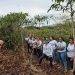 Mulheres do Café: agricultoras de Alegre participam de curso de poda do conilon