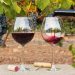 Seminário aborda produção de uvas de inverno e vinhos finos no Espírito Santo